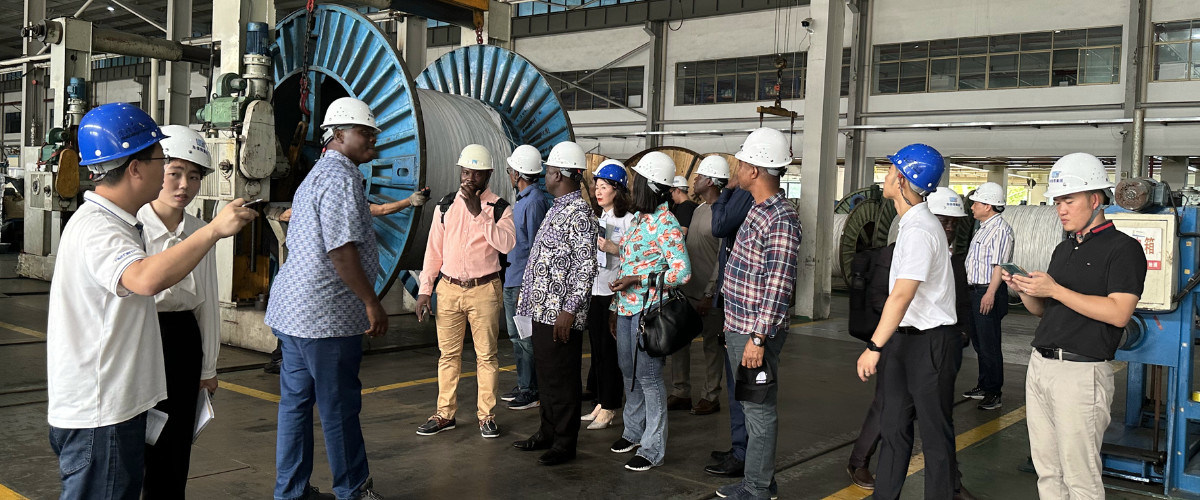 Porcelana el mejor Cables de transmisión de arriba en ventas